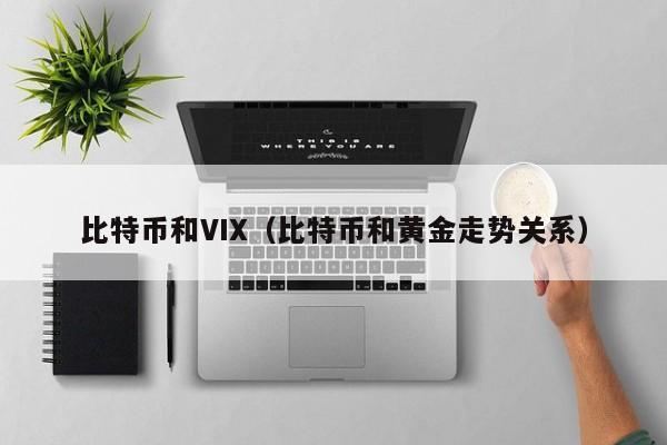 比特币和VIX(比特币和黄金走势关系)